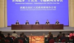 开局起步“十五五”：西藏持之以恒推进“四件大事”