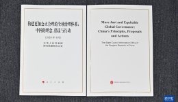 中国政府发布关于全球治理的白皮书