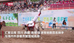 策马逐梦聚雪域 香格里拉赛马会绘民族交融画卷