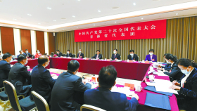 མཚོ་སྔོན་གྱི་འཐུས་ཚབ་ཚོགས་པས་ཏང་གི་ཚོགས་ཆེན་ཉི་ཤུ་པའི་སྙན་ཞུ་ལ་མུ་མཐུད་དུ་བགྲོ་གླེང་བྱས་པ།