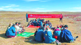 ཏང་གི་ཚོགས་ཆེན་ཉི་ཤུ་པའི་སྙན་ཞུར་རང་ཞིང་གི་ལས་བྱེད་པ་དང་མང་ཚོགས་ཁྲོད་ཚུར་སྣང་དྲག་པོ་བྱུང་བ།