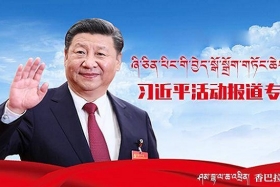 ཞི་ཅིན་ཕིང་གི་བྱེད་སྒོ་སྒྲོག་གཏོང་ཆེད་