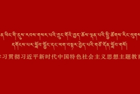 ཞི་ཅིང་ཕིང་གི་དུས་རབས་གསར་པའི་