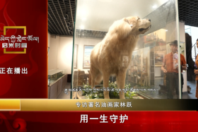 ལུན་ཡོན་དང་འབྲོག་ཁྱི་བར་གྱི་གཏམ་རྒྱུད།