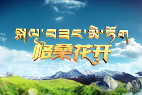 མི་ཚེ་གོས་སུ་དྲུབ།