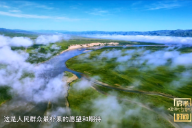 ལྗང་མདོག་ཅན་ནི་སྤུས་ཚད་མཐོ་བའི་འཕེལ་རྒྱས་ཀྱི་རྩ་བ་ཡིན།