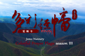 ལྷག་བསམ་གཙང་མས་ལོ་ཟླ་རིས་སུ་ཕབ།  ། བདེ་ཞིང་སྐྱིད་པའི་མཚར་སྡུག་ཕྱོགས་སུ་བཀྲ། །