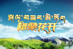 མཐོ་སྒང་གི་གཟུགས་མེད་རིག་གནས་ཤུལ་བཞག   （༡）