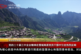 ཏང་གི་སྐབས་ཉི་ཤུ་པའི་ཀྲུང་ཨུའི་ཚང་འཛོམས་གྲོས་ཚོགས་ཇེངས་གསུམ་པའི་སྙིང་དོན་ལ་གངས་ལྗོངས་མཐོ་སྒང་་གི་ཏང་ཡོན་ལས་བྱེད་པས་དོ་སྣང་ཆེན་པོ་བྱེད།