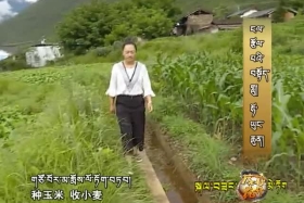 ངལ་རྩོལ་པའི་བསྟོད་གླུ།