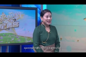 དགའ་སྤྲོའི་ཕོ་ཉ། ཡུང་ཅང་ཧྥན།