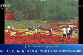 ཀྲུང་དབྱང་གསར་འགྱུར་མཉམ་བསྒྲགས། ༼༡༩.༡༠.༥༽