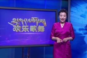 ཁམས་པའི་དགའ་ཚལ། ༼བོད་སྐད། ༡༩.༡༡.༢༧༽