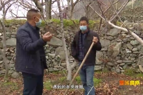 གངས་ཅན་མཐོ་སྒང་། ༼༢༠.༣.༢༩༽