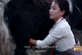 ཁམས་པའི་དགའ་ཚལ། ༼རྒྱ་སྐད། ༢༠.༤.༡༣༽