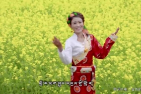 ཁམས་པའི་དགའ་ཚལ་།  བོད་སྐད། ༼ ༢༠.༠༥.༡༨ ༽