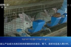 ཀྲུང་དབྱང་གསར་འགྱུར་མཉམ་བསྒྲགས། ༼༢༠.༦.༡༦༽