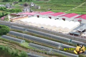 བདེ་སྐྱིད་ནི་འབད་བརྩོན་ལས་ཐོབ།