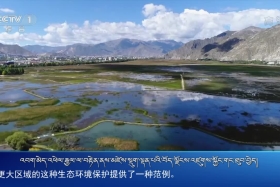 ཀྲུང་དབྱང་གསར་འགྱུར་མཉམ་བསྒྲགས། ༼༢༠.༨.༢༨༽