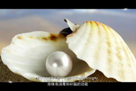 མུ་ཏིག་དོ་ཤལ།