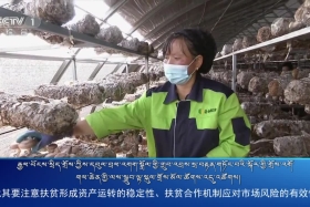 ཀྲུང་དབྱང་གསར་འགྱུར་མཉམ་བསྒྲགས། ༼༢༠.༨.༢༠༽