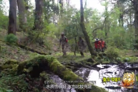 ནགས་སྲུང་གཏམ་རྒྱུད།