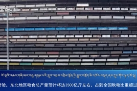 ཀྲུང་དབྱང་གསར་འགྱུར་མཉམ་བསྒྲགས། ༼༢༠.༡༠.༣༽