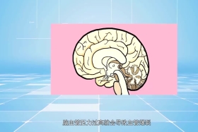 ཚན་རིག་ཡོན་ཏན། ༼༢༠.༡༠.༢༨༽