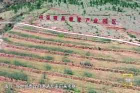 མདུན་སྐྱོད་ཀྱི་དགྱེས་གླུ། སྨད་ཆ།