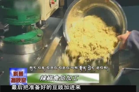 ༄༅།། ཚན་རིག་ཡོན་ཏན། ༼༠༤.༢༣༽