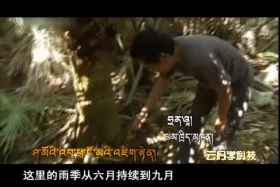 ༄༅།། ཚན་རིག་ཡོན་ཏན། ༼༠༩.༠༥༽