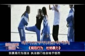 规范行为 杜绝暴力(01.21)