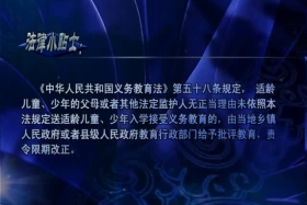 生活中的法律（11.19）