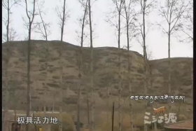 གངས་ཅན་མཐོ་སྒང་།