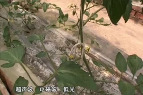 ༄༅།། ཚན་རིག་ཡོན་ཏན། ༼༠༡.༡༥༽