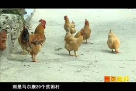 གངས་ཅན་མཐོ་སྒང་། ༼༠༨.༠༧༽