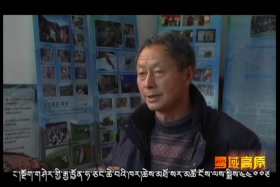 བརྟན་སྲུང་དང་བདེན་དཔང་། ༼༠༨.༢༤༽