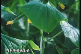 ༄༅།། ཚན་རིག་ཡོན་ཏན། ༼༠༦.༡༢༽