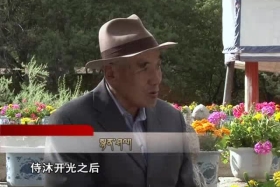 ༄༅།། ལྷ་སའི་ཞོ་སྟོན། ༼༠༨.༠༢༽