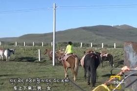 རྩྭ་ཐང་སྟེང་གི་ཁྱུང་ལྷ་སྐྱིད། ༼༡༡.༡༠༽