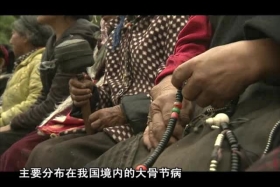 ༄༅།། ཚན་རིག་ཡོན་ཏན། ༼༡༢.༡༡༽