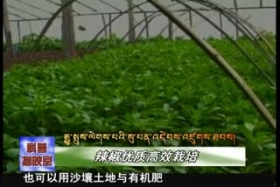 ༄༅།། ཚན་རིག་ཡོན་ཏན།༼༠༥.༢༡༽