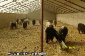 ཡོན་ཏན་ཚན་རིག་གླིང་། ༼ ༡༡.༠༤ ༽