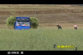 ཡོན་ཏན་ཚན་རིག་གླིང་།༼༡༢.༢༨༽