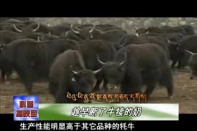 ཚན་རིག་ཡོན་ཏན། ༼༡༠.༢༩༽