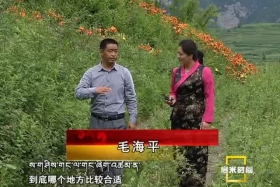 མེ་ཏོག་གིས་བརྒྱན་པའི་སྐྱེས་ཁམས་ཐོན་ལས་འཕེལ་རྒྱས་ཀྱི་ལམ་བུ། ༼༠༨.༡༠༽）