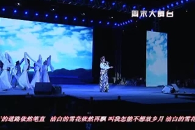 སྡེ་དགེ་རྫོང་མང་ཚོགས་རིག་རྩལ་འཁྲབ་སྟོན། ༼༡༡.༣༠༽