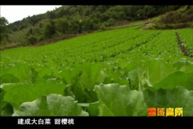 གངས་ཅན་མཐོ་སྒང་། ༼༠༦.༡༩༽