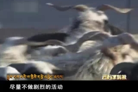 ༄༅།། ཚན་རིག་ཡོན་ཏན། ༼༠༡.༠༩༽