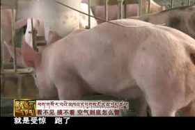 ༄༅།། ཚན་རིག་ཡོན་ཏན། ༼༡༡.༠༦༽